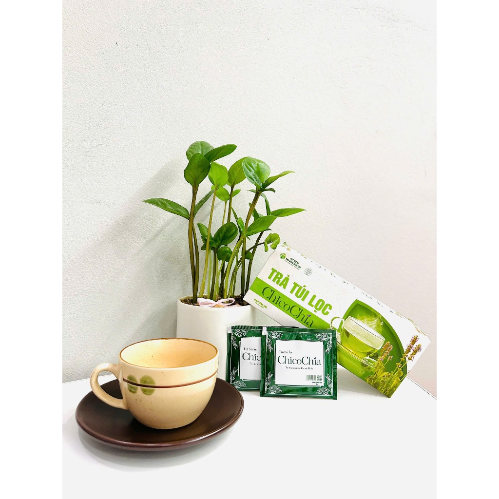Quà tặng Trà túi lọc ChicoChia - DETOX, GIẢM MỠ GAN - MỠ MÁU