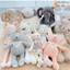 Gấu Bông Nhồi Gòn Cao Cấp Gấu Nghiền Hỗ Trợ Bé Ngủ Ngon DouDou A46