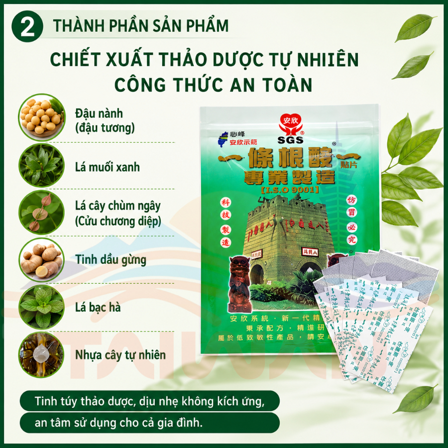 Miếng cao dán giảm nhức mỏi GMP Nhất Điều Căn Đài Loan 10 miếng/1 túi