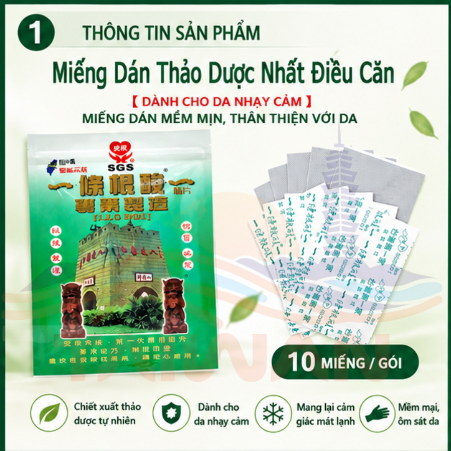 Miếng cao dán giảm nhức mỏi GMP Nhất Điều Căn Đài Loan 10 miếng/1 túi