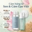 Combo SEONSU 4 Món Làm Sạch Và Cân Bằng Da: 2 Tẩy Trang 500ml + 2 Toner Tạo Bọt 150ml