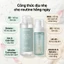 Combo SEONSU 4 Món Làm Sạch Và Cân Bằng Da: 2 Tẩy Trang 500ml + 2 Toner Tạo Bọt 150ml