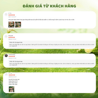 Miếng Dán Thải Độc Chân Kenko To Plan Natural Foot Sheet NHẬT Bản 30 miếng To Plan Kenko Sheet SK01