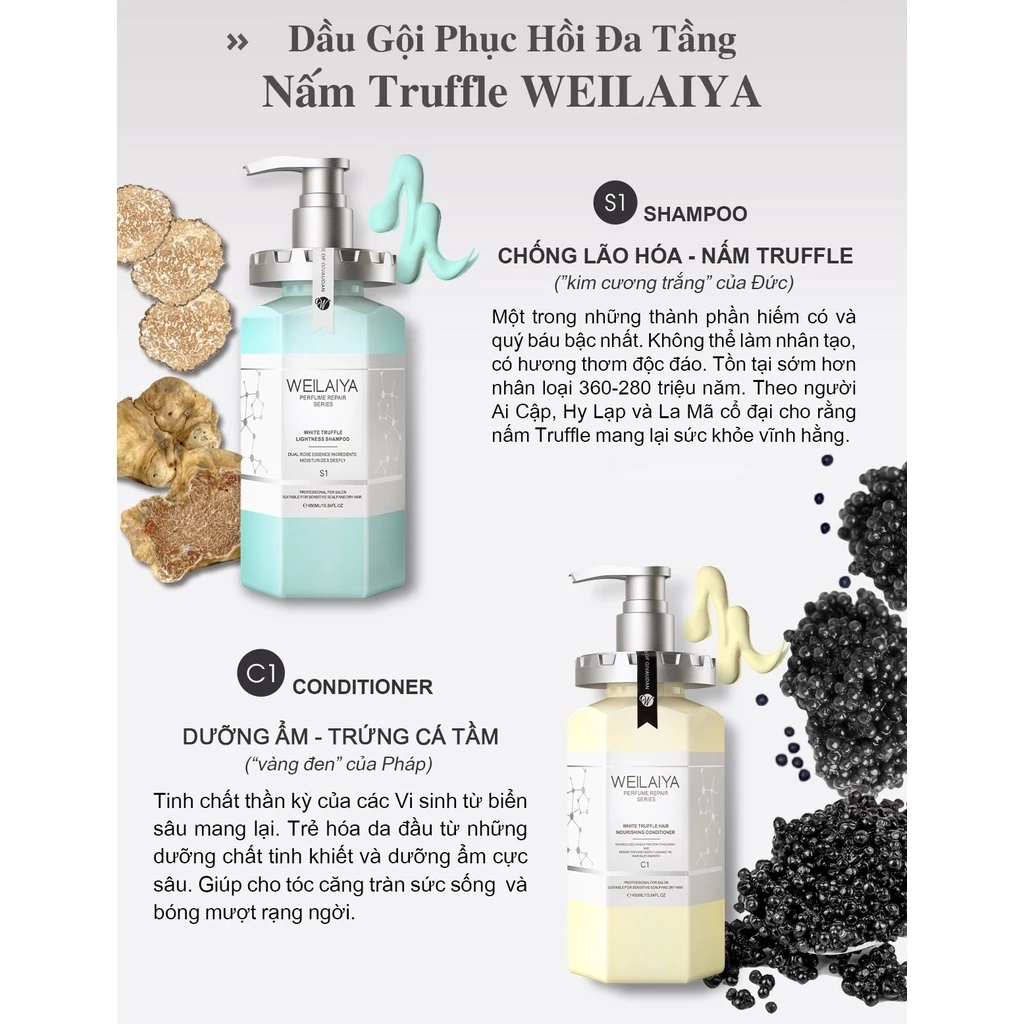 Cặp Gội Xả Cao Cấp Weilaiya Nấm Truffle Phục Hồi Tóc Hư Tổn - Ever Queen