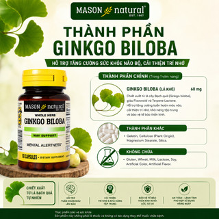 Viên uống bổ não Ginkgo Biloba Mason Natural hộp 60 viên tăng tuần hoàn máu não tăng cường trí nhớ