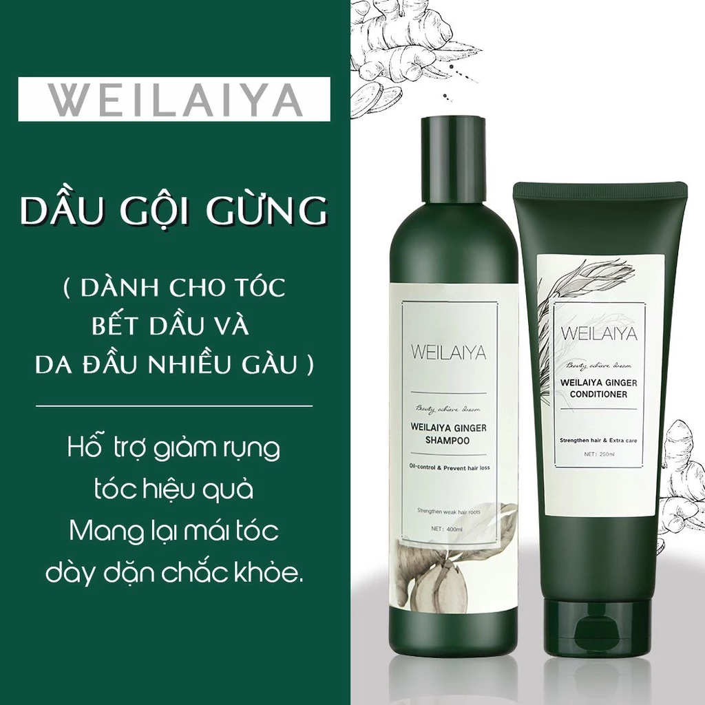 Bộ Gội Xả Gừng Hà Thủ Ô Weilaiya Giảm Rụng, Ngăn Gàu Kích Mọc Tóc - Ever Queen