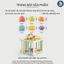 Đồ Chơi Hộp Đan Dây Thả Hoa Quả Montessori GutyKids Đồ Chơi Giáo Dục Sớm, Rèn Luyện Cầm Nắm, Nhận Biết Màu Sắc