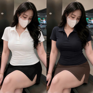 Áo Cổ Bẻ Tay Ngắn Dáng Áo Polo Nữ Có Bigsize Phom Ôm Màu Màu Basic Thanh Lịch ACB