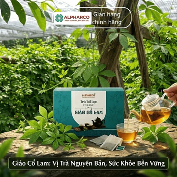 Trà túi lọc Giảo Cổ Lam Alpharco hộp 30 túi lọc, hỗ trợ giảm mỡ máu, giảm căng thẳng, hỗ trợ chức năng gan