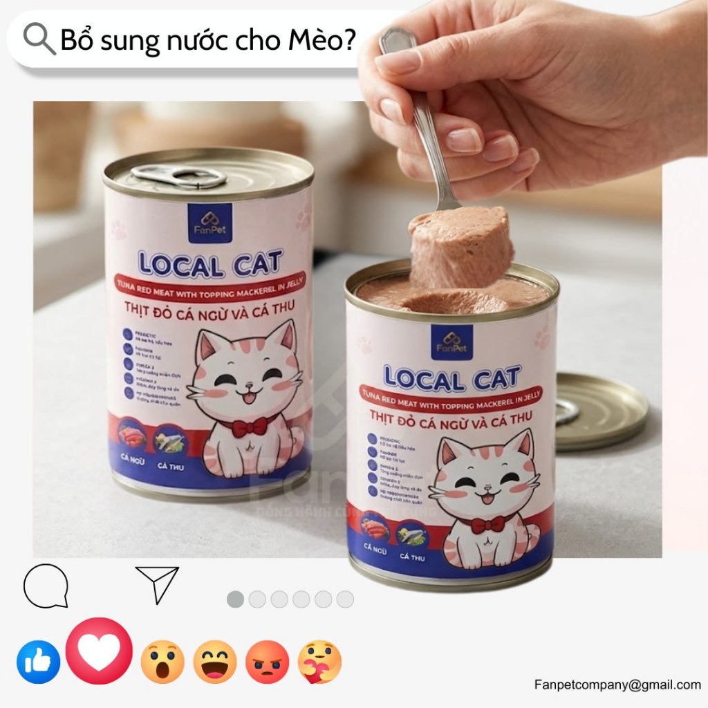 [XẢ KHO] COMBO Pate Mèo LOCAL CAT Thịt Cá Ngừ Tươi 100% Hỗ Trợ Thị Lực , Bổ Sung Taurine-Lon 400G
