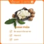 Kem Ngăn Ngừa & Giảm Rạn Da Palmer's Cocoa Butter Formula Massage Cream For Stretch Marks 125g