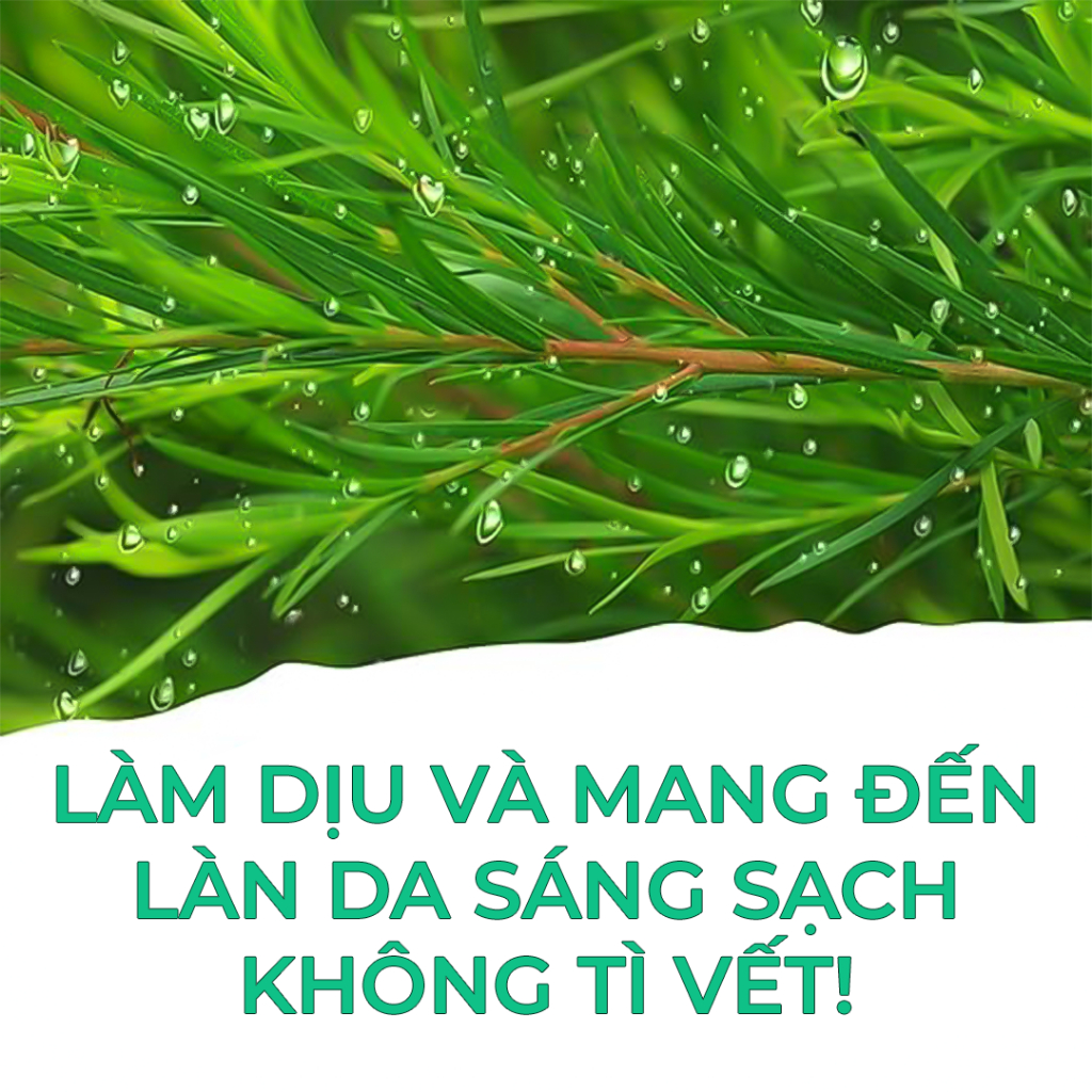 [SẢN PHẨM MỚI] Nước tẩy trang St.ives chiết xuất Tràm Trà 400ml