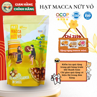 Hạt macca nứt vỏ Đắk Lắk Túi zip 500g - Hạt dinh dưỡng ăn vặt cao cấp