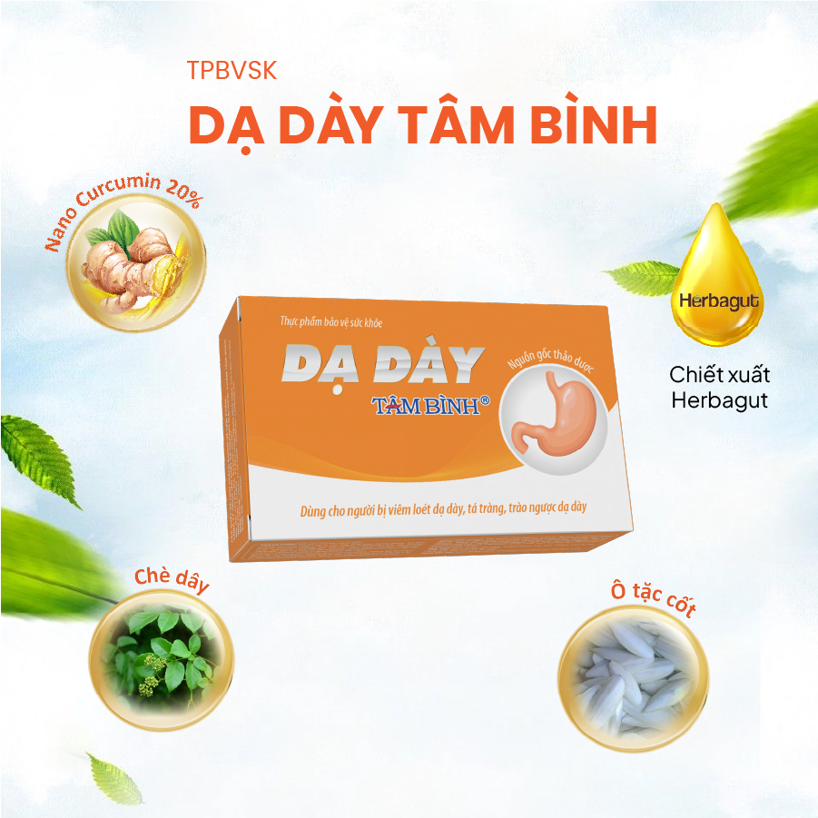 [Combo 6] Dạ dày Tâm Bình - Hỗ Trợ Giảm Viêm Loét Dạ Dày, Tá Tràng, Trào Ngược Dạ Dày