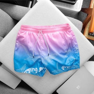 Quần short đi biển bigsize 100kg chất dù mỏng nhẹ lót lưới , Quần đùi đi biển unisex - Vargo