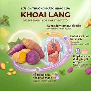 Khoai Lang Sấy Giòn Lát Vàng Dalat Nature (80g) - Đồ Ăn Vặt Tự Nhiên, Không Chất Bảo Quản