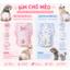 Tã Bỉm Cho Chó Mèo Siêu Thấm Hút – Bỉm Vệ Sinh Thú Cưng Chống Tràn Khử Mùi Dùng Cho Chó Mèo Đực Cái Bán Lẻ