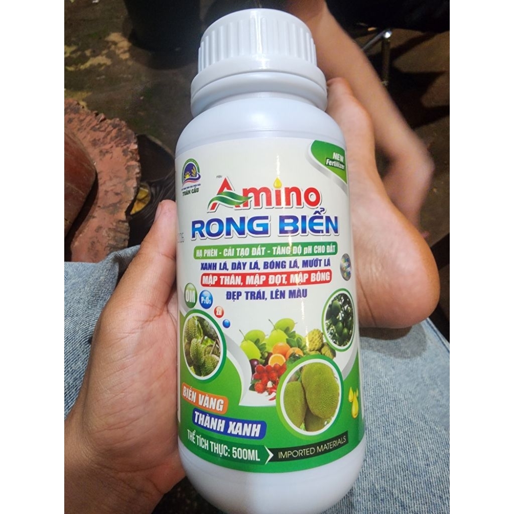 Amino rong biển