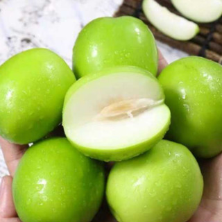 Cây Giống Táo Thái - Kim Bio Farm - Cao 60cm-80cm, Chuẩn Giống, Dễ Trồng, Sai Trái