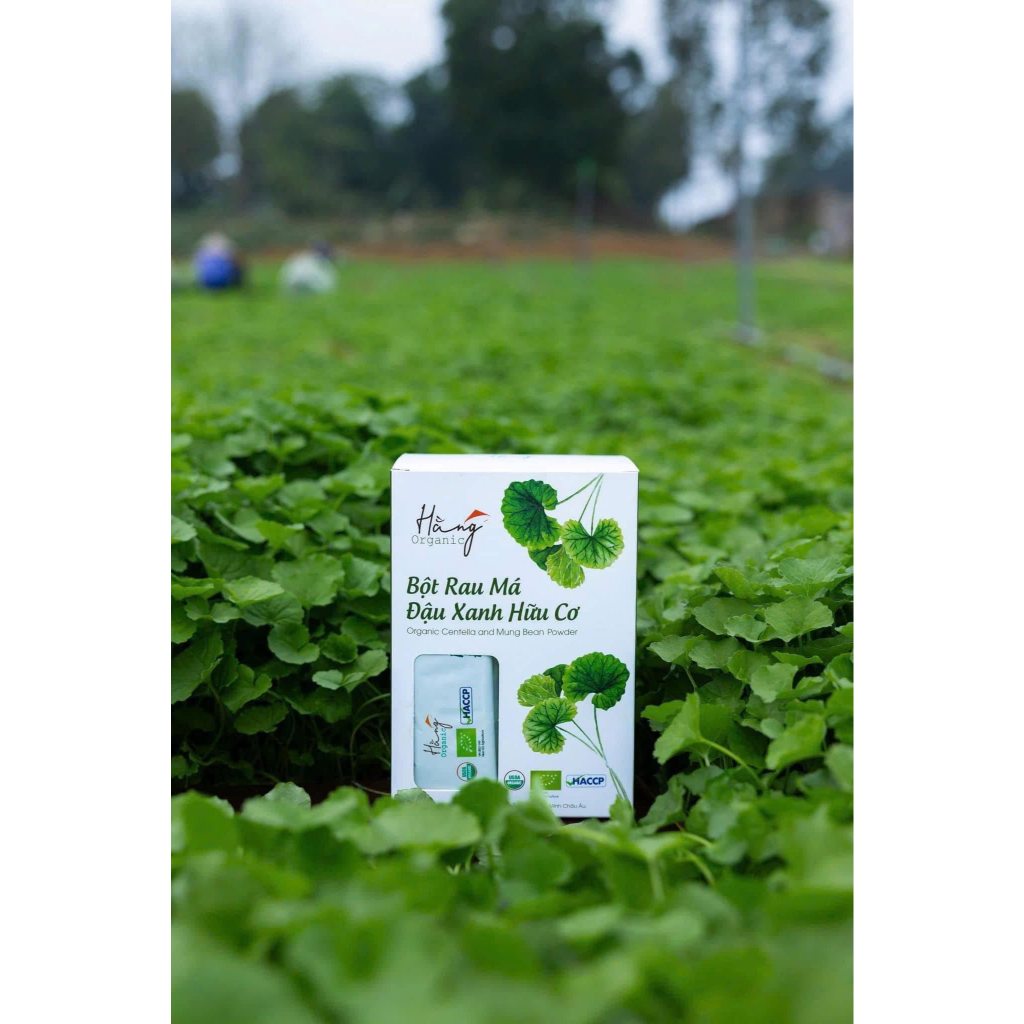 Bột rau má đậu xanh hữu cơ Karose 200g