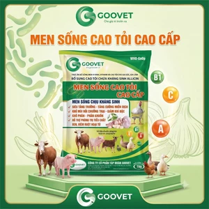 men sống cao tỏi Goovet gói 1kg kích thích tiêu hóa tăng khả năng miễn dịch