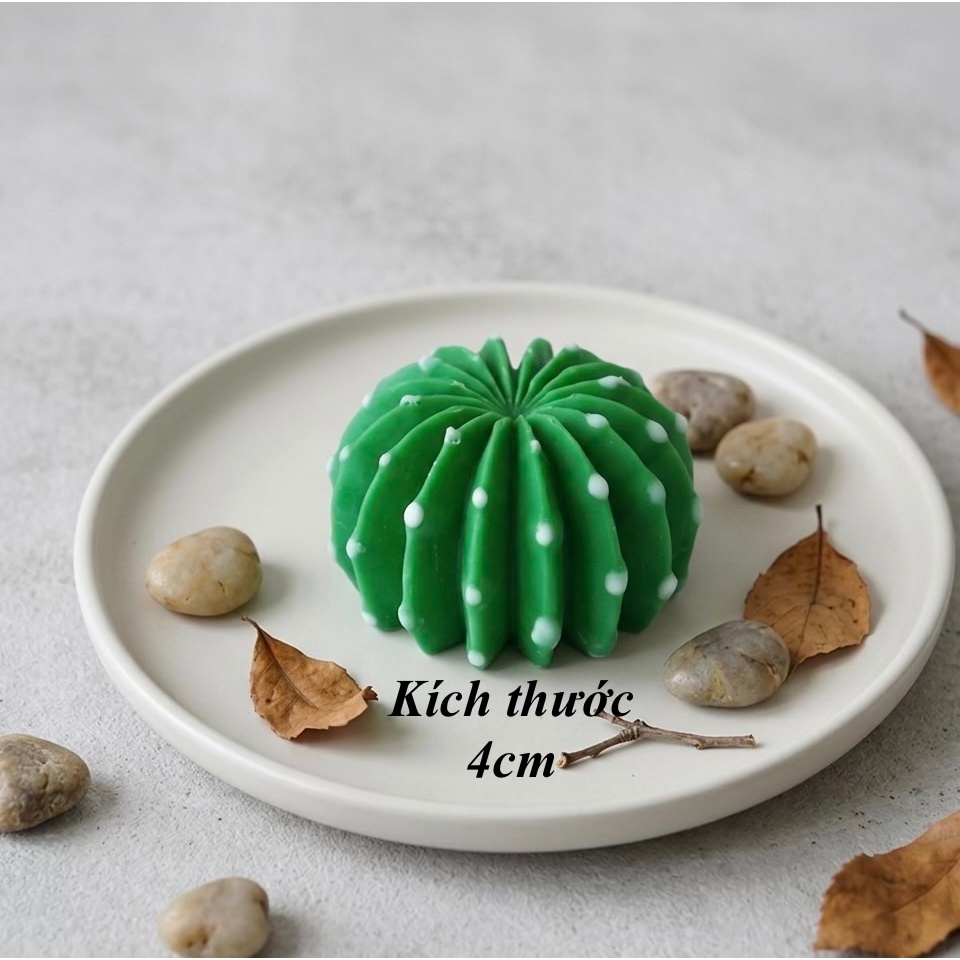 Khuôn xương rồng tròn lớn