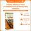 Hồng Sâm Củ Khô Achimmadang Korean Red Ginseng Hàn Quốc