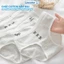Quần Lót Nữ Cotton cạp vừa đáy kháng khuẩn, Quần chip nữ cao cấp, mềm mịn, thoáng mát ZANABRA L1108