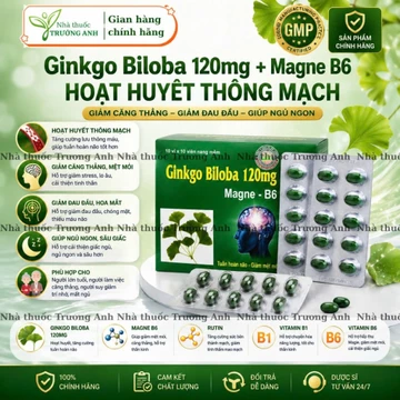 Ginkgo Biloba 120 mg giúp bổ não, tăng cường lưu thông, hoạt huyết dưỡng não. Hộp 100v