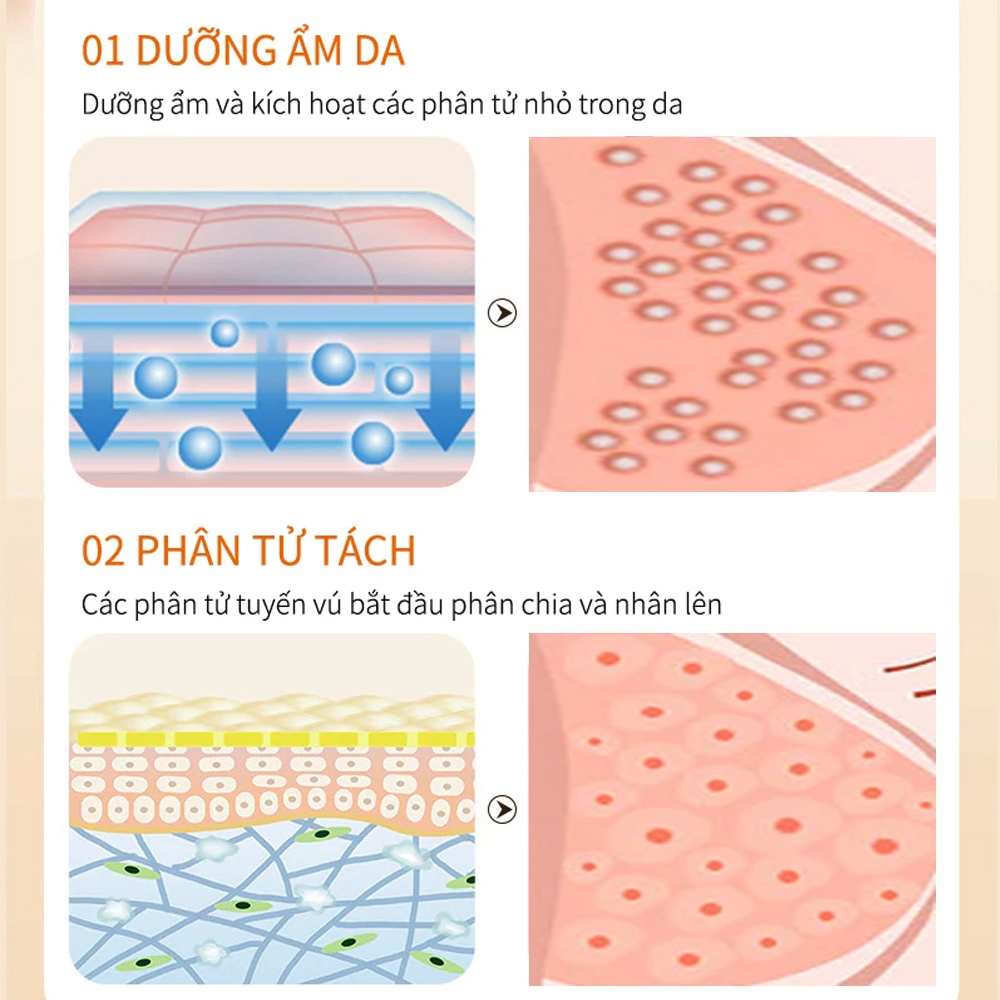 Kem Nở Ngực Bigsize Mỹ Chính Hãng, Kem Nâng Ngực Tăng Vòng 1 Tự Nhiên Săn Chắc, Nâng Ngực Chống Chảy Xệ Sau Sinh