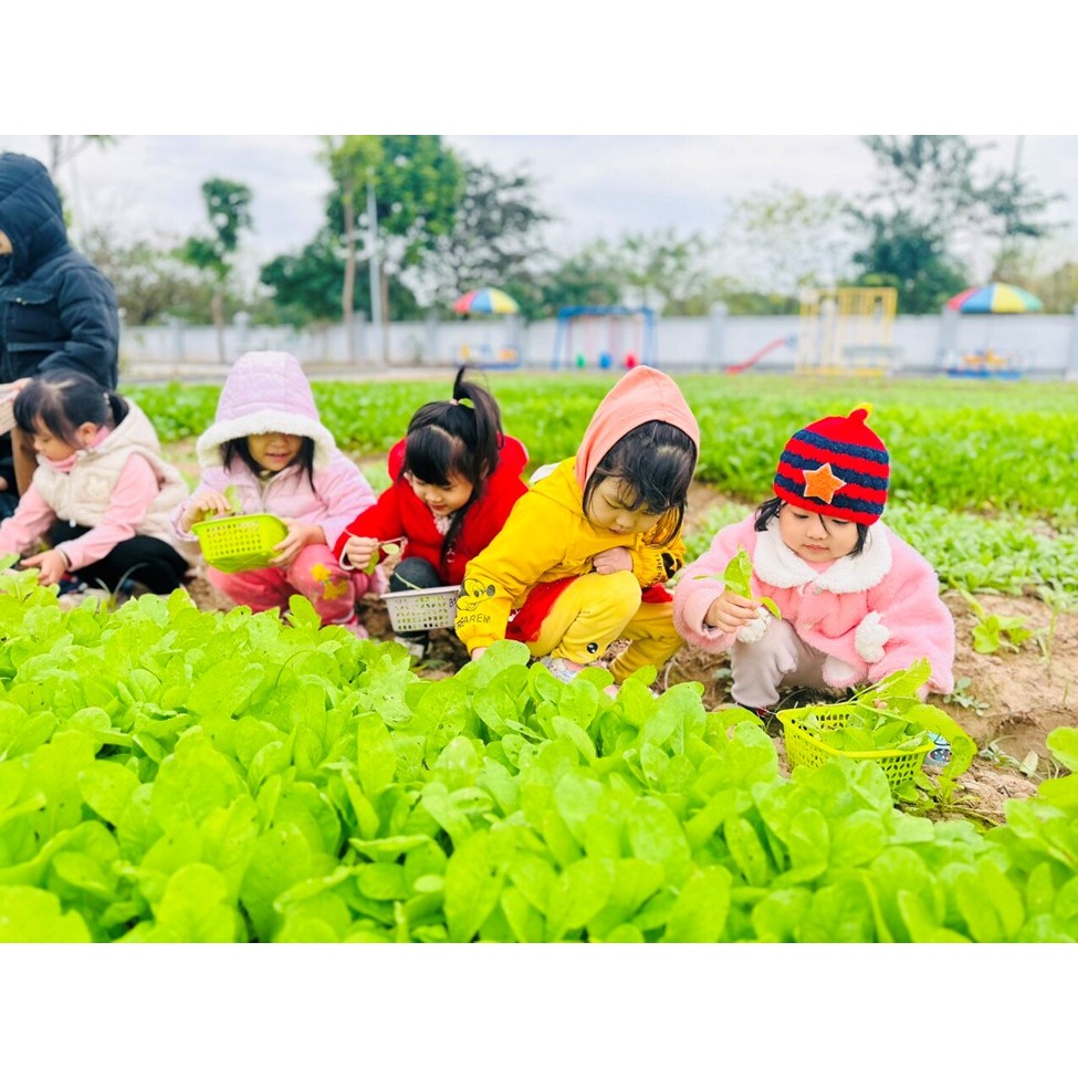 2kg chiết lẻ Tinh vôi Nông Nghiệp Cao Cấp, Siêu Sát Khuẩn, Tăng độ PH của đất, Sạch Nấm Bệnh