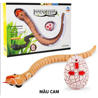 RẮN ĐIỀU KHIỂN TỪ XA – ĐỒ CHƠI MÔ PHỎNG SIÊU THÚ VỊ CHO BÉ