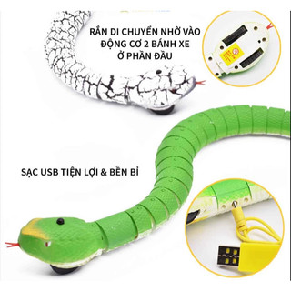 RẮN ĐIỀU KHIỂN TỪ XA – ĐỒ CHƠI MÔ PHỎNG SIÊU THÚ VỊ CHO BÉ