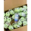 BÌNH NƯỚC DUY TÂN MATSU 700ml