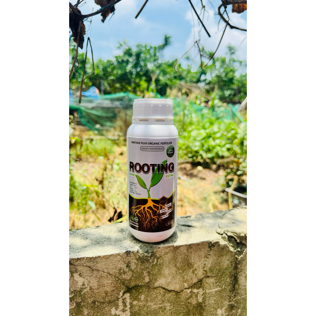 Phân bón hữu cơ Rooting chai 500ml : Kích rễ thần tốc , cải tạo đất tới xốp
