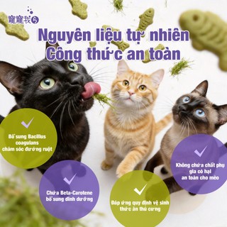 Bánh thưởng cho mèo 200g x 3 Loại - Giúp Thải Lông, Giảm Búi Lông, Hỗ Trợ Tiêu Hóa