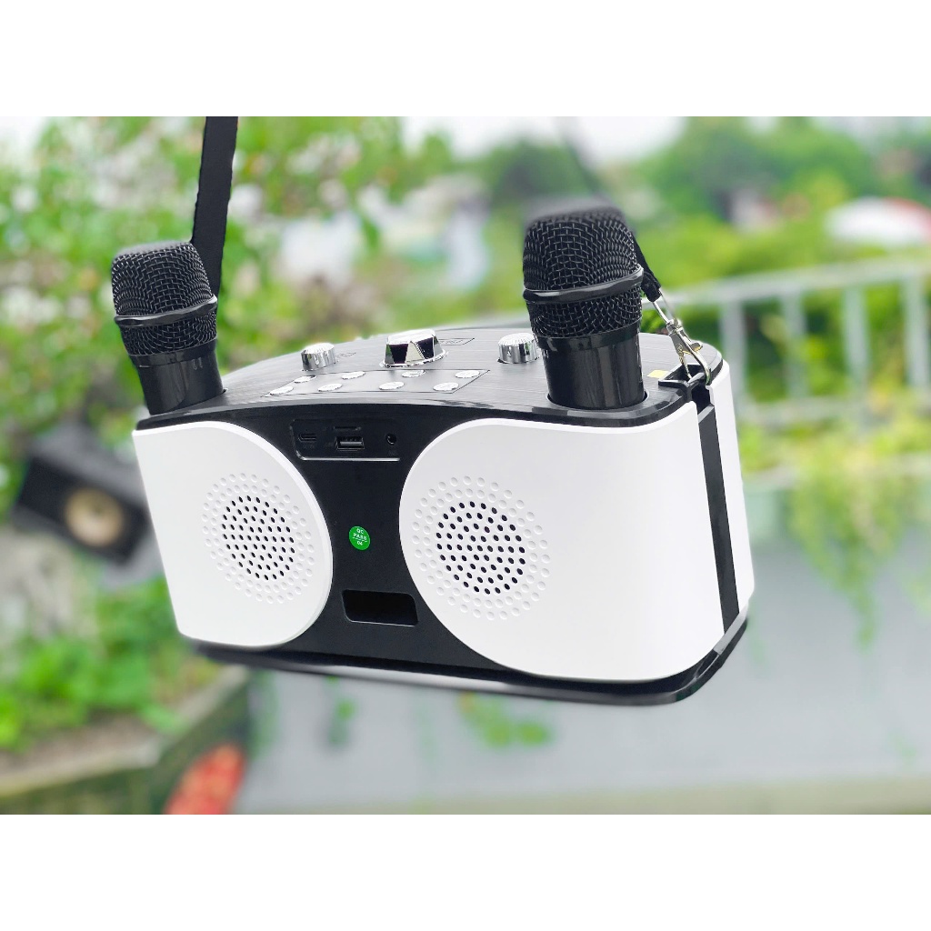 Loa Karaoke Mini A922 , Loa Bluetooth Tặng kèm 2 micro không dây