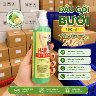 [TẶNG KEM BODY] Bộ 3 gội xả bưởi Ngân Bình - Giảm gãy rụng, phục hồi tóc hư tổn
