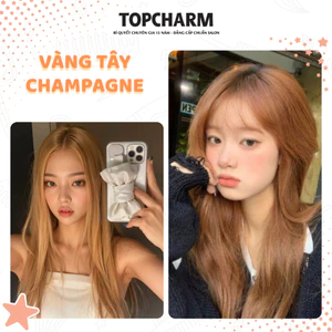 Thuốc nhuộm tóc NÂU TÂY, VÀNG TÂY, NÂU MOCHA, NÂU GỖ, chuyên phủ tóc bạc cứng 10 màu TOPCHARM