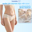 Quần Lót Nữ Hình Gấu Đáng Yêu, Quần Lót Cotton Lưng Thun Vừa Đính Nơ ZANABRA L120