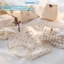 Quần Lót Nữ Hình Gấu Đáng Yêu, Quần Lót Cotton Lưng Thun Vừa Đính Nơ ZANABRA L120