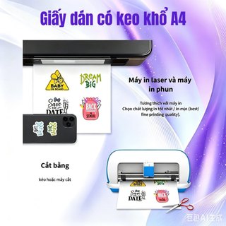 QUAFF Giấy decal  A4 165GSM – Mờ/Bóng – Chống nước, bám dính tốt, sẵn sàng cho DIY và in nhãn