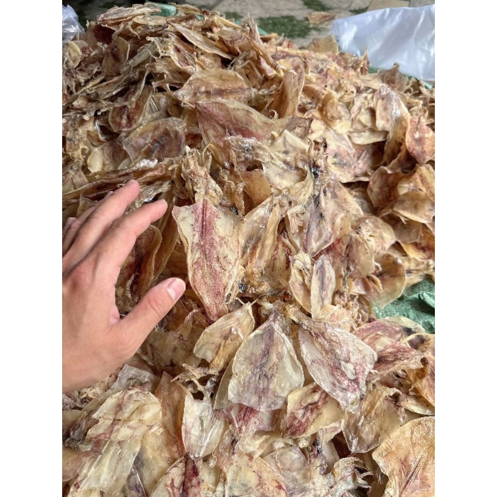 KHÔ MỰC ĐỒNG TIỀ.N ( MỰC BỌT)SHOP TẠI KIÊN GIANG
