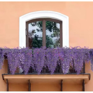 Chùm dây leo rong biển decor- Cây hoa trang trí