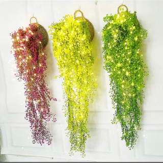Chùm dây leo rong biển decor- Cây hoa trang trí
