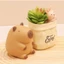 BÁNH MOCHI CAPYBARA DỄ THƯƠNG, BÓP ĐÀN HỒI NHƯ MOCHI