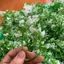 500g Cỏ Điểm Đã Nhặt Sạch Cọng Hoa Sáp , Hoa Giấy, Hoa Lụa DUHA 145