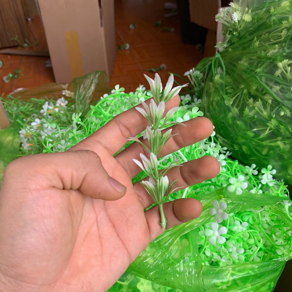 Combo 1kg Cúc Họa Mi, Cỏ Móc- Dấu Hỏi Cỏ Điểm Trang Trí Bó Hoa DUHA 147