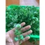 Túi 100g Cành Táo Hoa Trắng Cúc Họa Mi Cỏ Điểm Nhặt Sạch DUHA 148
