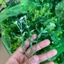 Combo 500g Cỏ Điểm Cỏ Móc, Sen Đá Nhiều Mẫu Để Bó Kèm Hoa Sáp, Hoa Lụa... DUHA 153